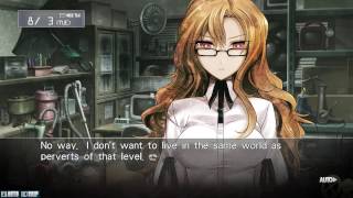 SteinsGate Gameplay Walkthrough No Commentary Part 17 PC [upl. by Onilecram]