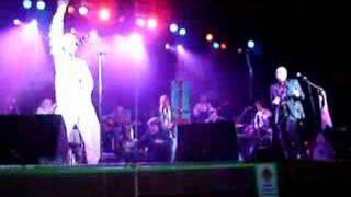 BONZO DOG DOODAH BAND  TROUSER PRESS LIVE 2006 [upl. by Rosmunda]