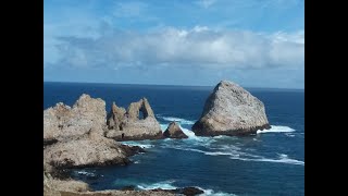 Farallon Islands Adventure walking tour [upl. by Mw279]