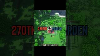 Minecraft 270 TNT vs Warden ☠️  will warden survive  minecraft [upl. by Auqined845]