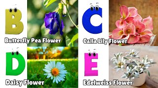 Flowers ABC Song for Kids  Phonics for Kids  English Alphabet Letters [upl. by Daahsar972]