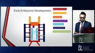 Embryological Development of the Inferior Vena Cava with an Azygos Vein Variant Case  Stefan Lachka [upl. by Garrity]