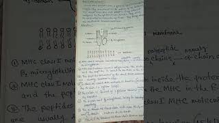 structure of mhc class 1 and 2 immunologyzoology shortsfeed shorts biologynotes [upl. by Feerahs800]