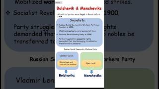 Bolsheviks and Mensheviks  Class 9  Russian Revolution [upl. by Kreiner975]