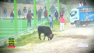 😎corrida de toros bravos🐂🐂🐂 desafiando marradas y revolcones 🍀tradicional Ayacucho💥 [upl. by Ythomit]