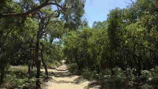 Moreton Island Middle Road driving West to the Eastern beach [upl. by Nirahs]