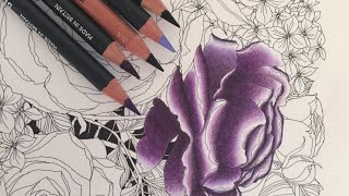 Ausmalen für Erwachsene  Tips und Tricks für Coloring Beginner und Anfäner [upl. by Savina]