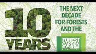 The Next Decade for Forests and the Forest Carbon Partnership Facility FCPF [upl. by Ailhat147]