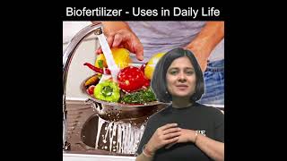 Use of Biofertilizer  Microbes in human welfare [upl. by Akinot]