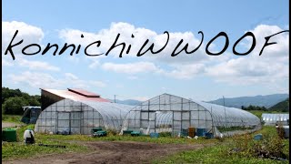 konnichiWWOOF  WWOOFing in Japan [upl. by Marte]