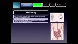 Basiskurs BiochemieChemie Kohlenhydrate Teil 710 [upl. by Ehcrop361]