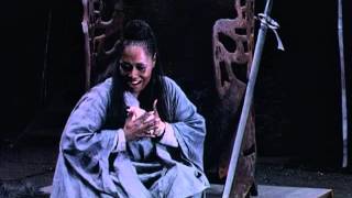 MACBETH  Sleepwalking scene Shirley Verrett [upl. by Aloysia938]