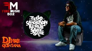 Tego Calderon Mix Reggaeton Old School Lo Mejor 🔥 Dj Fire Quintana [upl. by Rafaellle]