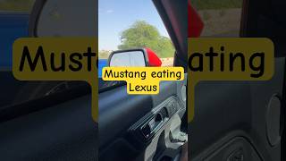 Mustang Vs Lexusالموستنغ اكلت اللكزس 🫢 [upl. by Ahcim]