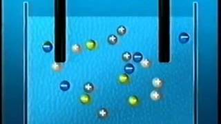 Jesse Holleran  Electrolysis of saltwater redox reaction [upl. by Nolat]