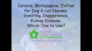 Cerenia Mirtazapine Zofran Dog amp Cat Nausea Vomiting Inappetence Kidney Disease Which to Use [upl. by Rosemary]