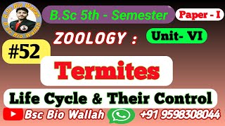 Termites Life Cycle and Their Control  Vectors and Pests Unit 6zoology bsc5thseme vector pests [upl. by Strawn]