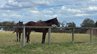 living legends park Greenvale Victoria [upl. by Eileek]