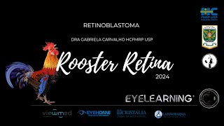 Retinoblastoma com Dra Gabriela Carvalho HCFMRP USP Rooster 2024 [upl. by Kevan]