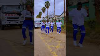 Bien ft Adenkule Gold Wahala Dance video Dance Dynasty [upl. by Odlaumor140]