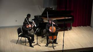 Smetana Piano Trio in G minor Op 15 [upl. by Esom]