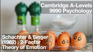 Schachter and Singer 1962 TwoFactor Theory of Emotion  ALevels 9990 Psychology [upl. by Yoko]