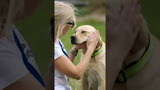 Becoming A Guide Dog 🐾  Born to Lead Episode 8  Bondi Vet shorts [upl. by Aznaed]