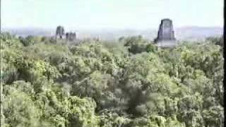 Tikal Temple 4 and its Famous View Guatemala [upl. by Adlig]