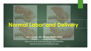 normal labor and delivery [upl. by Emerej]