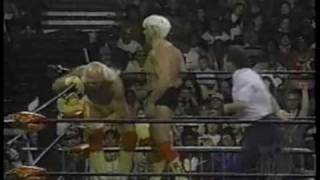 1196 Flair vs Hogan 12 [upl. by Assereht281]