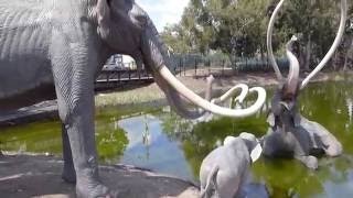 Los Angeles California  La Brea Tar Pits HD 2016 [upl. by Aiekan717]