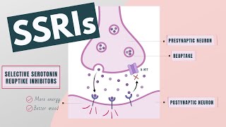 Selective Serotonin Reuptake Inhibitors SSRIs  Indications mechanism side effects [upl. by Doreg]