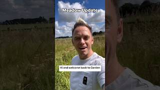 Wildflower Meadow Update come see what’s popped up 😜🥷🌿🐝 [upl. by Aroc]