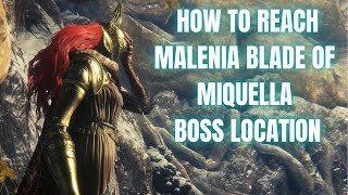 HOW TO REACH MALENIA BLADE OF MIQUELLA BOSS LOCATION  ELDEN RING [upl. by Rennat396]