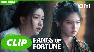 Strategi Qing Geng gagal😞😩 Fangs of Fortune  iQIYI Indonesia [upl. by Iviv894]