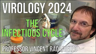 Virology Lectures 2024 2 The Infectious Cycle [upl. by Gorden]