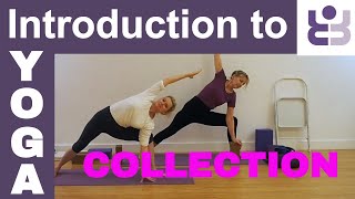 Introductory Iyengar Course Collection [upl. by Nnylassej]