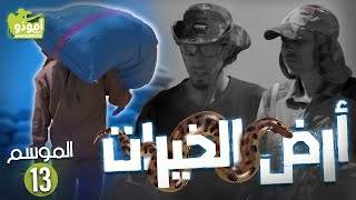 ✅ أمودّو 182  أرض الخيرات [upl. by Oirasor]