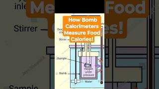 How Food Calories Are Measured Bomb Calorimeter Explainedshorts shortsfeed caloriecount [upl. by Suiratnauq635]