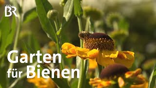 Garten für Bienen in Ellingen  Frankenschau  Reportage [upl. by Kleinstein630]