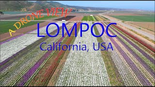 Lompoc VAFB Surf Beach a Drone View [upl. by Evvie]