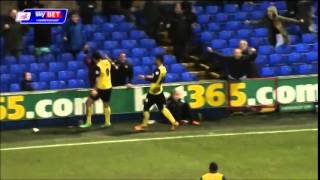 Troy Deeney  Watford FC Season 201314  All Goals [upl. by Harbed291]