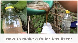 How to make a foliar fertilizer  Lets go organic  The Millennial Farmer PH [upl. by Lamaj]