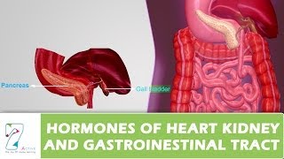 HORMONES OF HEART KIDNEY AND GASTROINESTINAL TRACT [upl. by Amlas776]