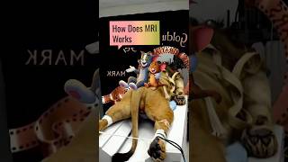 How Does MRI Works  MRI  science  magnet [upl. by Grous166]