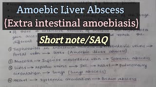 Amoebic Liver Abscess  Extra intestinal amoebiasis  Parasitic infection of hepatobiliary System [upl. by Sinegra]