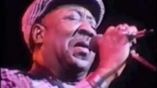 Muddy Waters  Mannish Boy Live  Amazing Version from Eric Claptons film Rolling hotel Manish Boy [upl. by Hermon]