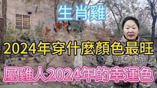 生肖屬相雞！屬雞人在2024年穿什麼顏色最旺？生肖屬雞人2024年幸運色是什麼！本期視頻講述2024生肖雞！運勢 顏色 風水 2024 [upl. by Alick]