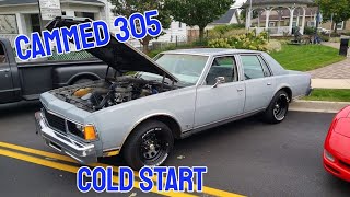 Cold start mild 305 Caprice Classic [upl. by Reisfield]