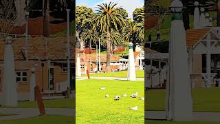 Geelong Beach and park Victoria shortsvediosbeachparkvic [upl. by Chastain]